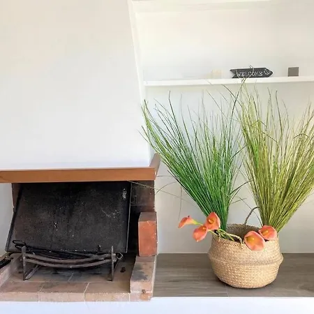 Passeig Ii - In Center With Sea Views Apartment *
